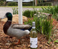 $360 for 6! 派對/婚宴優惠 Whistling Duck Semillon Sauvignon Blanc